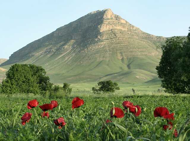 شهرستان هرسین